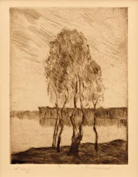 Trzy brzozy nad jeziorem w Brandenburgii